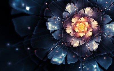 art, bloom, digital, flowers, fractals